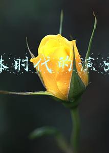 新媒体时代(新媒体时代下如何做好内容传播？豫视频培训第一课带来重磅干货)