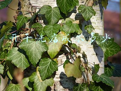 开干洗店需要多少钱的成本-开一家干洗店需要多少成本