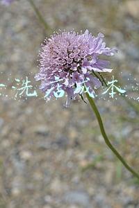 开家干洗店成本多少《干洗店大概要投资多少钱》