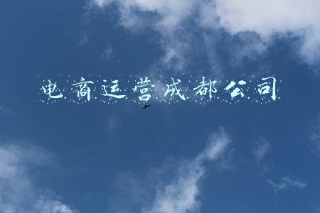 电商运营成都公司
