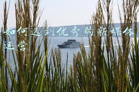 新媒体运营怎么学(新手如何开始做自媒体？没经验的看过来)