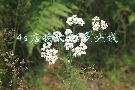 4s店换空气滤芯多少钱(4s店换空气滤芯多少钱一个)