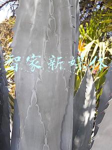 海尔媒体资料库(科技创新打破产品边界，海尔洗衣机定义未来新赛道)