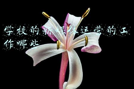 学校的新媒体运营的工作哪些