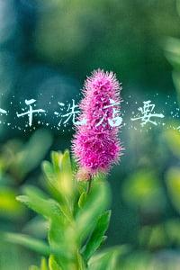 开一家干洗店投资多少-干洗店投资多少钱才可以
