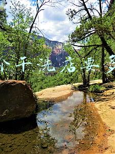 如何开一个淘宝店 如何开一个淘宝店铺