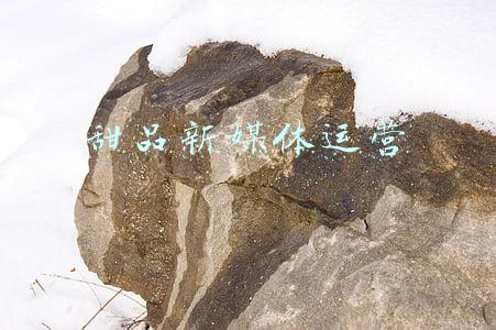 甜品店运营(今年这个行情，想要成功开家甜品店，你必须学会的5项运营技能)
