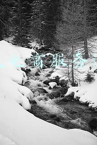 重庆电子商务应用发展中心(交易额5951亿元！重庆两江新区2021年电子商务“红红火火”)