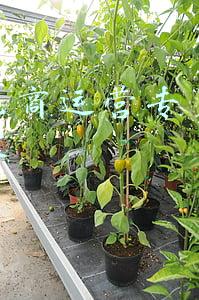 电商产品专员工作内容(视频号如何从0到1？亿级私域GMV操盘手分享独家心得)