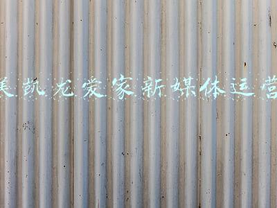 美凯龙爱家北京总经理(美凯龙爱家与房天下开启战略合作，打造“全链条”住房)