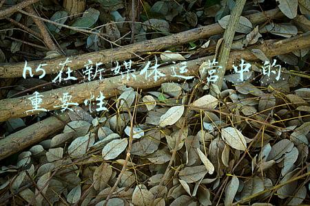 h5新媒体技术是啥(百年征程 薪火相传 融媒体产品《我相信》全网传播互动逾1亿次)