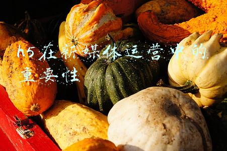 h5运营是什么意思(2022：小程序、App和h5开发有什么区别？怎么选择？)