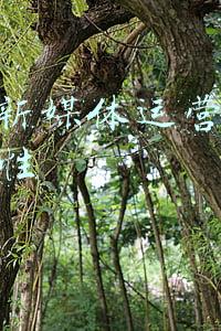 h5在新媒体运营中的重要性