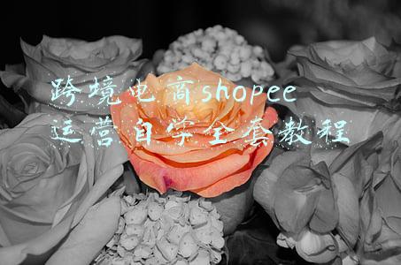 跨境电商shopee运营自学全套教程
