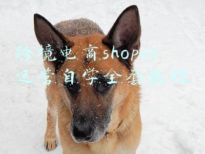 shopee店铺运营教程(shopee（虾皮）店群经营策略与店铺运营方法分享)