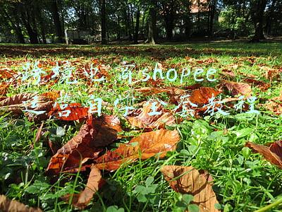 跨境电商shopee运营自学全套教程
