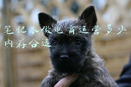 电商运营用什么配置的电脑(2021平面渲染设计师入门到大师笔记本电脑配置推荐预算3K-10K)