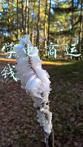 我进不去学校了(快速解决孩子厌学的全新方法，家长朋友一定要耐心看完)