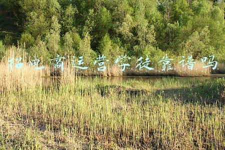 壁画师佳佳招学徒骗局(6天挣4万！“刷墙姑娘”带火的壁画师行业收入真这么高？听业内人士咋说)