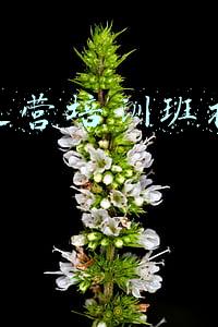 电商的培训(电商培训课有用吗？给大家细扒一下市面上的常见电商培训课)
