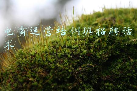 电商运营话术聊天(淘宝客服聊天技巧)