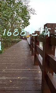广州1688电商运营培训