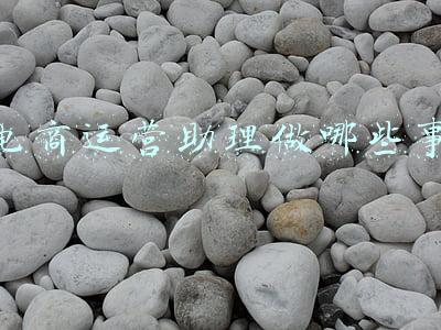 电商运营助理做哪些事
