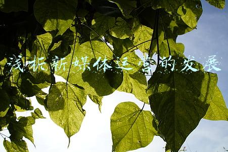 浅析新媒体的传播优势(“一起向未来”主流新媒体传播力论坛｜主流媒体如何提升传播力？宋建武详解闪电新闻发展模式)