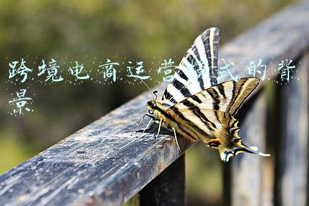 跨境电商运营模式的背景