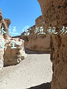 常见的新媒体运营平台(新媒体平台有哪些？这4个常用平台，你都有了解吗？)