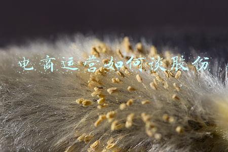 电商运营如何谈股份