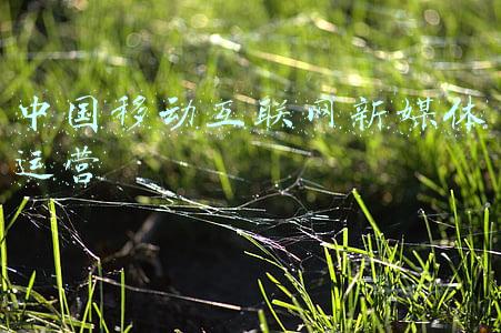 中国移动互联网新媒体运营