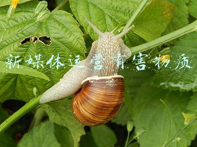 新媒体运营有害物质