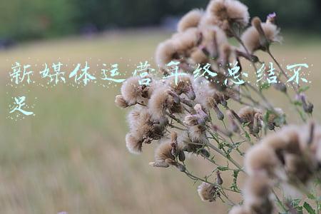 新媒体运营年终工作总结(60岁俞敏洪“年终总结”：新东方营收减少80%，辞退6万员工，开直播卖农产品)