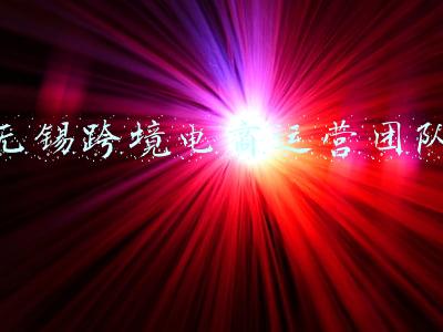无锡跨境电商展会(中国（无锡）跨境电子商务新生态应用发展大会成功举行)