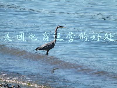 美团电商平台怎么入驻(入驻外卖平台开店流程)