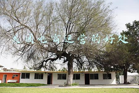 美团电商入口(王兴悄悄升级电商入口，对标淘宝拼多多？)