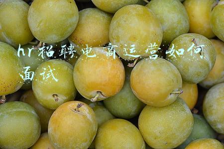 济宁电商运营招聘(济宁：招聘单位岗位大幅锐减 网络销售逆势而上)
