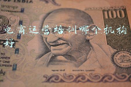 电商运营培训哪个机构好温州(温台两地青年线上共学“电商经”)