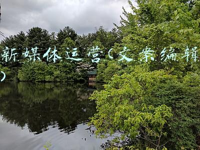 新媒体运营文案编辑提成一般根据什么(人人都说全媒体运营师高薪，没想到这么高？)
