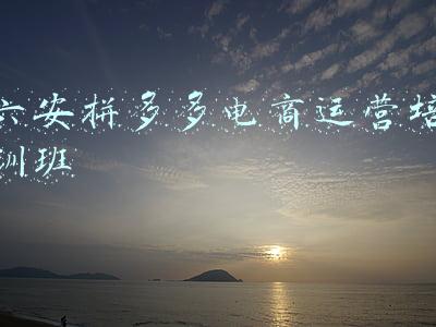 拼多多商家培训(“川海网络”——拼多多店群培训，全国统一招商)