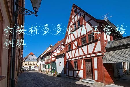 六安幼师考编培训班(2021年度六安市金安区事业单位公开招聘工作人员公告)