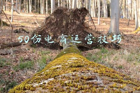 跨境电商运营技巧(抓紧学跨境电商运营实操方法！学不好直接导致店铺被封)