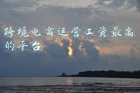 跨境电商运营工资最高的平台