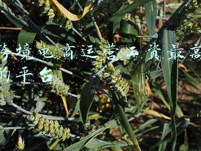 跨境电商工资一般多少(跨境人最新平均薪酬曝光！你拖后腿了吗？)