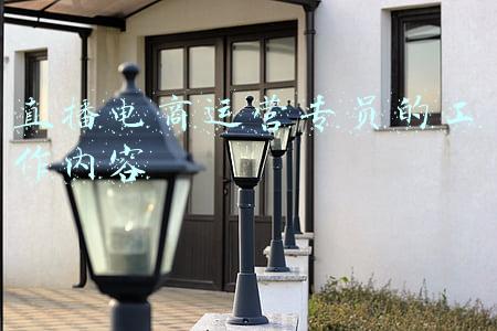 直播电商运营岗位(新手小白看好直播带货，想入门做直播电商运营，先做什么岗位好？)