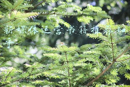 新媒体运营书籍推荐知乎