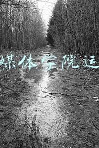 新媒体学院运营