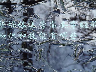 新媒体需要掌握的技能(干货｜新媒体必备的11款工具)