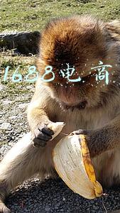 阿里电商运营培训(开封的淘宝电商运营培训班哪家好)